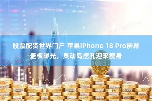 股票配资世界门户 苹果iPhone 18 Pro屏幕盖板曝光，灵动岛挖孔迎来瘦身